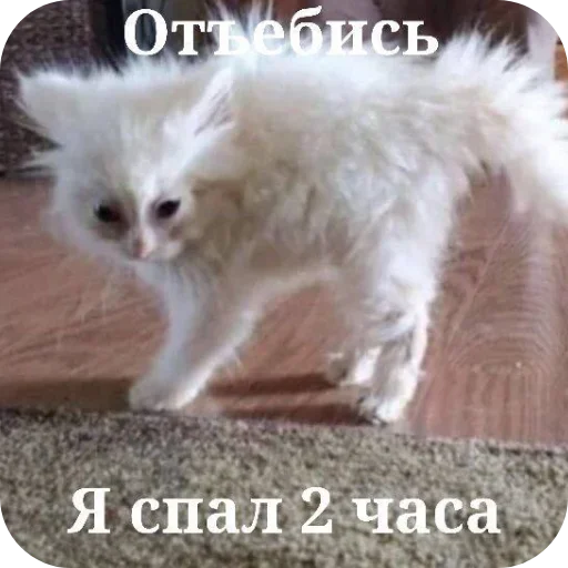 Sticker Mem_pack_by_e4zybot - 1