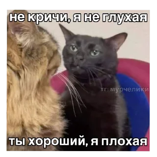 Стикер Мемасики 😍 (возможен сглыпа) - 9