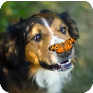 Sticker Динолт взгрелся - 2