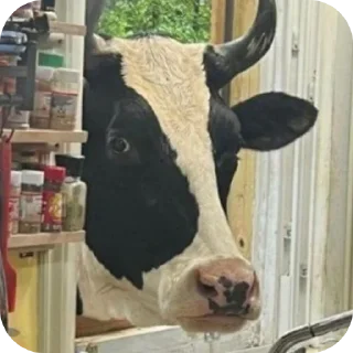 Sticker Динолт взгрелся - 7