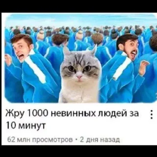 Sticker Memes Pack • @TgStickery - 2