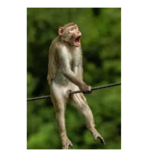 Стикер Мемные стикеры от @MelmineAlex - 1