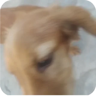 Стикер Мемные стикеры от @MelmineAlex - 9