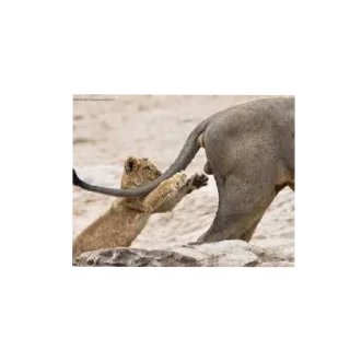 Стикер Мемные стикеры от @MelmineAlex - 10