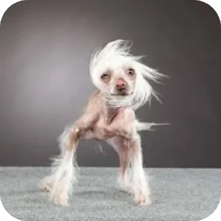 Стикер Мемные стикеры от @MelmineAlex - 6