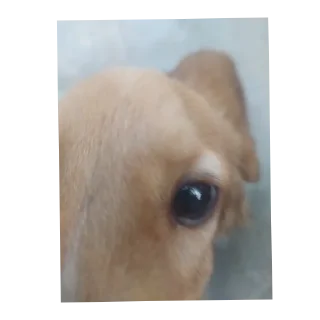 Стикер Мемные стикеры от @MelmineAlex - 5