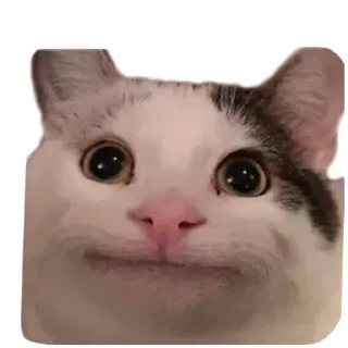 Sticker Мемы мемы - 8