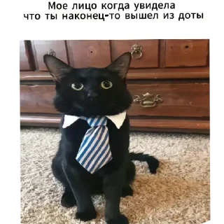 Sticker Меша - 6