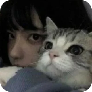 Стикер Мяву - 3