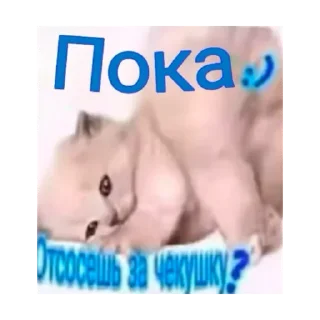 Стикер Mid night club 🤘🏻 - 7