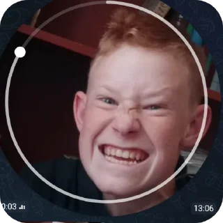 Sticker Мила лом - 11