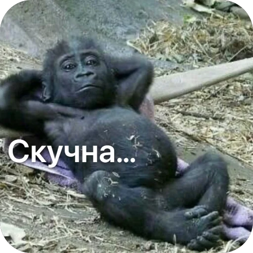 Стикер Millotttaaa - 1