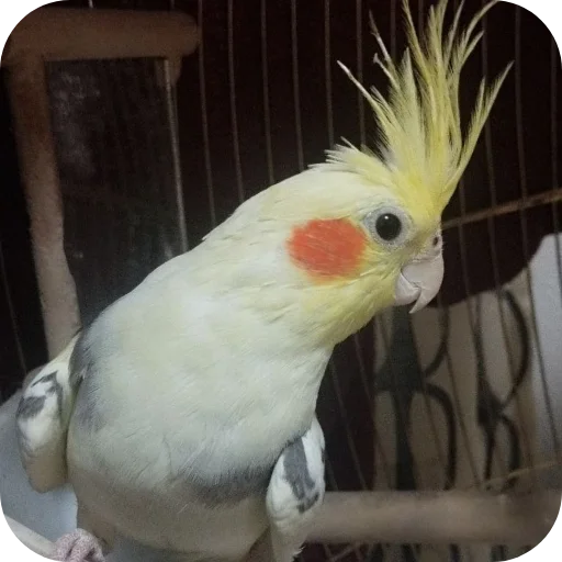 Стикер MirTankov85 - 1