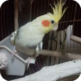 Sticker Мир танков - 6