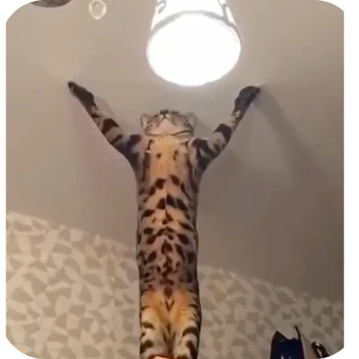 Sticker Miron4ik3 - 1