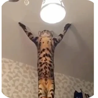 Стикер Miron4ik - 1