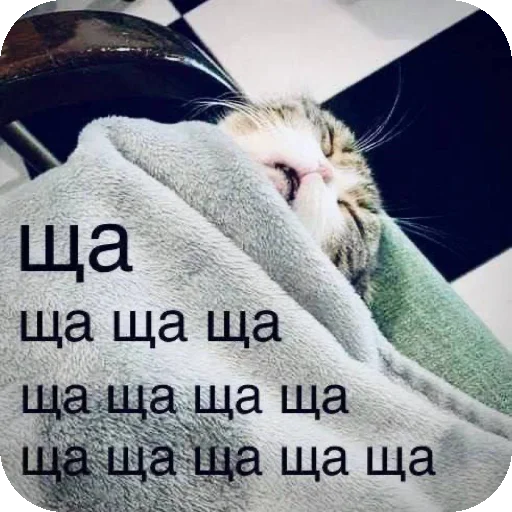 Стикер MirriStickers - 1