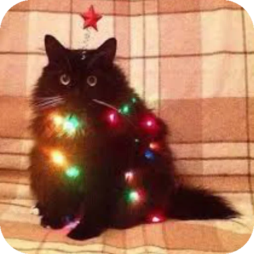 Sticker MirriStickers - 1