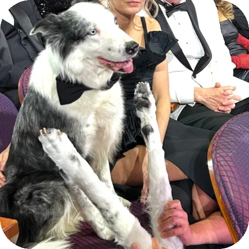 Sticker MirriStickers - 1