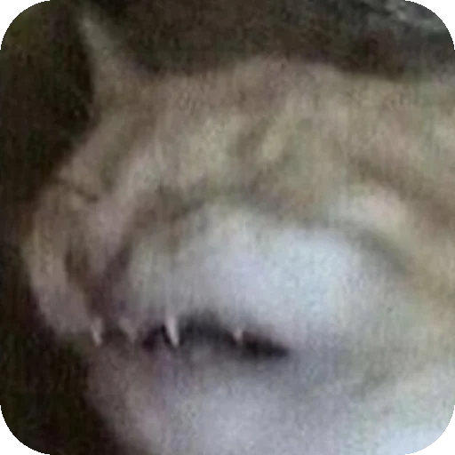 Sticker MirriStickers - 1