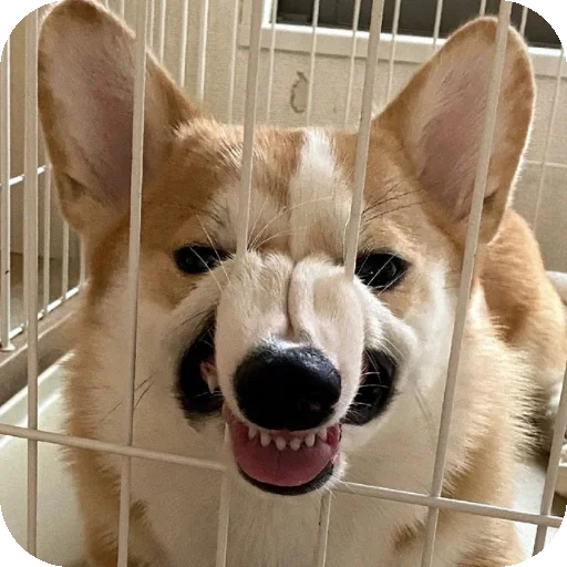 Sticker MirriStickers - 1