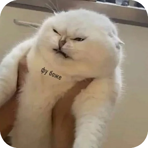 Sticker MirriStickers - 1