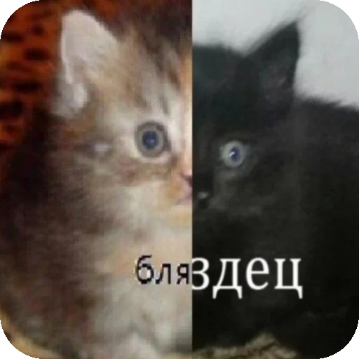 Sticker MirriStickers - 1