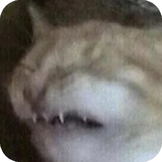 Sticker Mirri stickers - 7