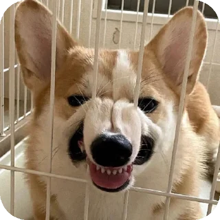 Sticker Mirri stickers - 6