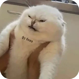 Sticker Mirri stickers - 1