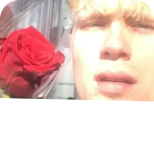 Sticker MixJFNVcrk_by_WmojiBot - 1