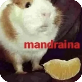 Sticker Мои. Стикеры пон - 7