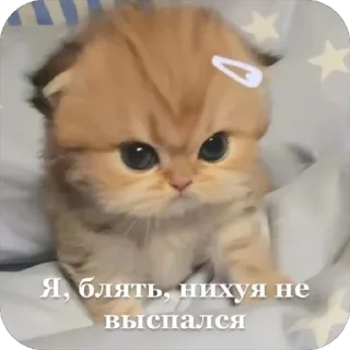 Стикер Мои стики 228 - 3