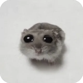 Стикер Мои стики 228 - 2