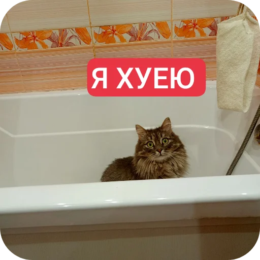 Стикер Moj3399 - 1