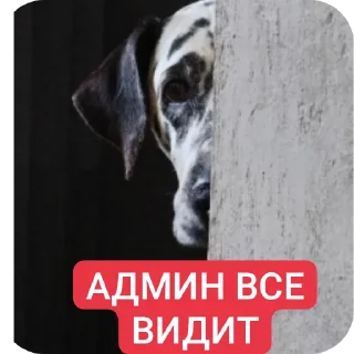 Sticker Мой - 6