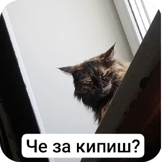 Sticker Мой - 10