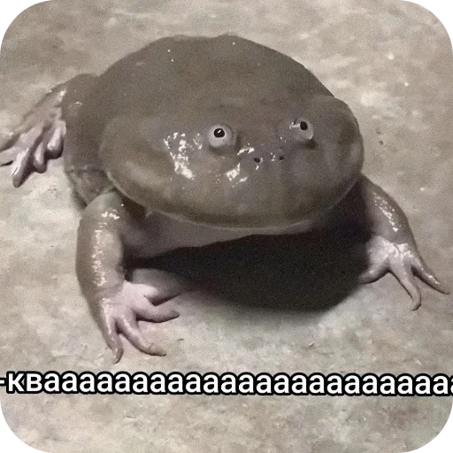 Sticker MojNaborchik949 - 1