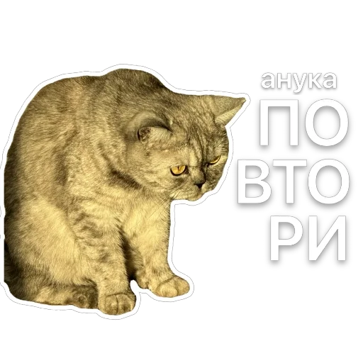 Стикер Molli164 - 1