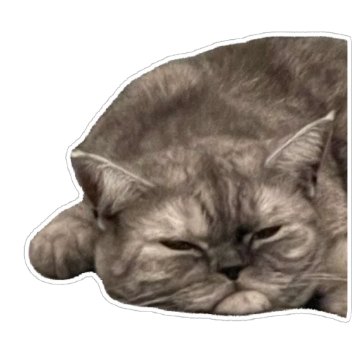 Стикер Molli164 - 1