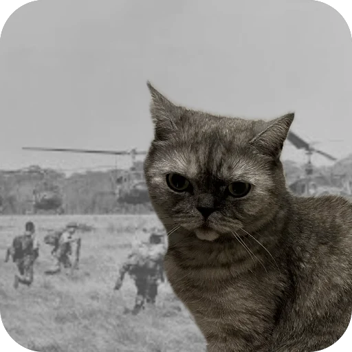 Sticker Molli164 - 1