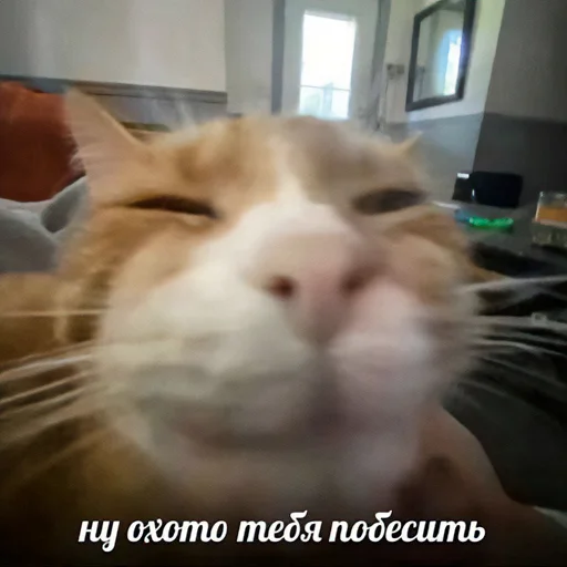 Стикер MonaCatts - 1