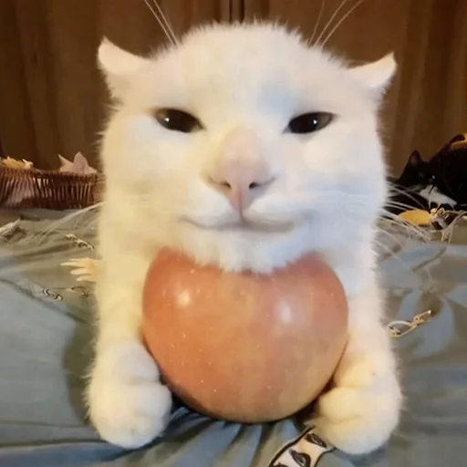 Sticker MonaCatts - 1