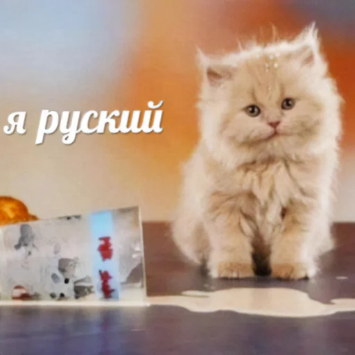 Sticker MonaCatts - 1