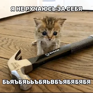 Стикер Котеки - 9