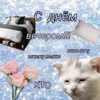 Стикер Котеки - 0