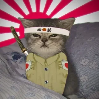 Стикер Котеки - 5