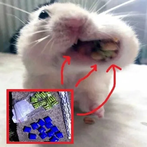 Стикер Most_Cool_Stickers - 1