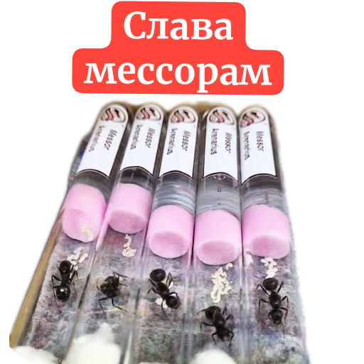 Стикер Muravi135 - 1