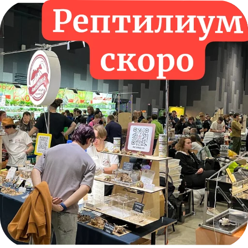 Sticker Muravi135 - 1